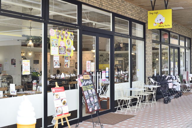 Dog Cafe Mary Popo グルメ 広島マリーナホップ